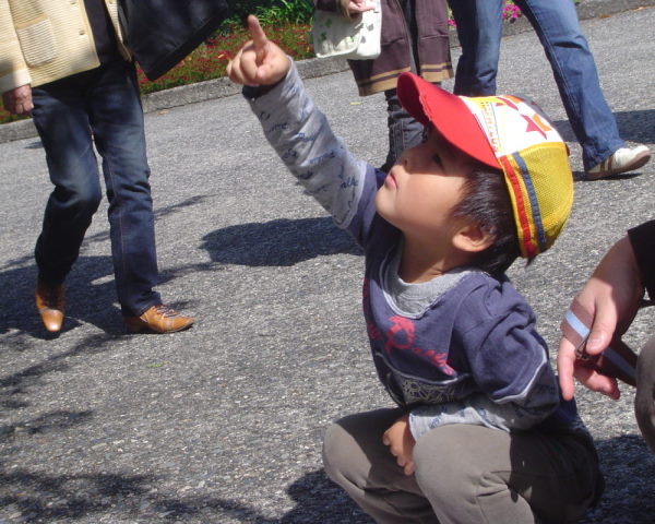 最新のアルバム