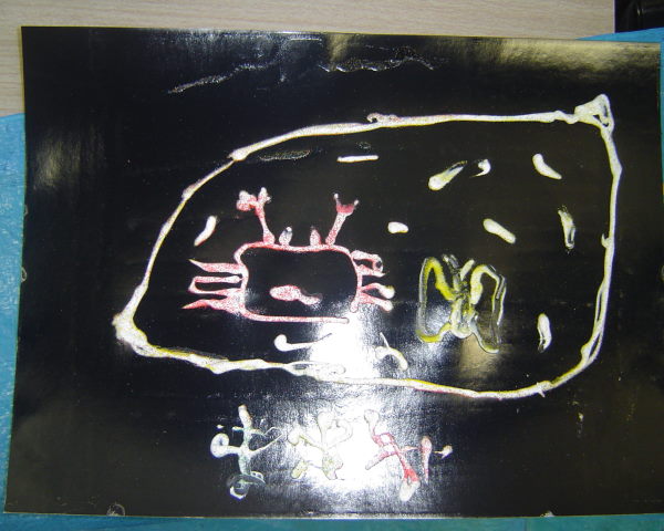 最新のアルバム