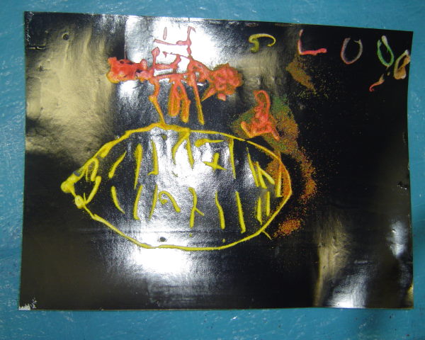 最新のアルバム