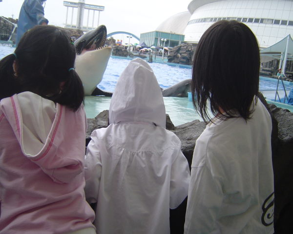 最新のアルバム