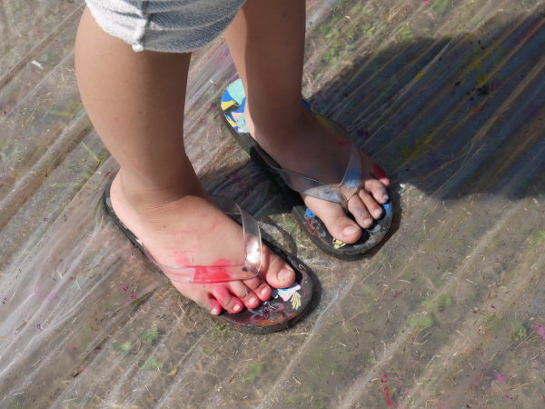 最新のアルバム