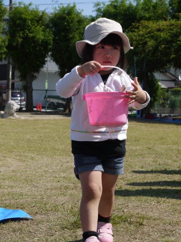 最新のアルバム