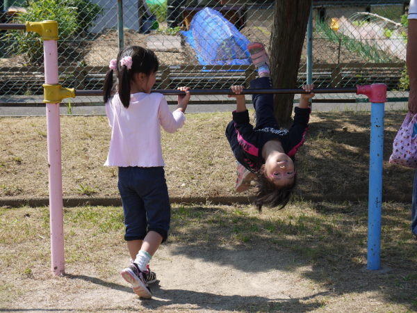 最新のアルバム