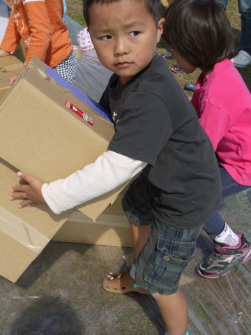 最新のアルバム