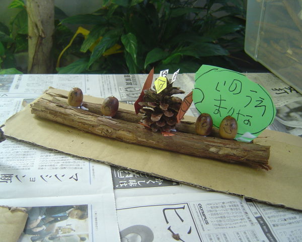 最新のアルバム