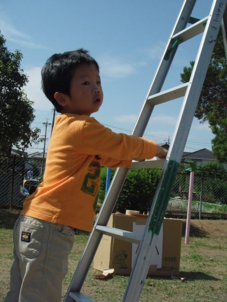 最新のアルバム