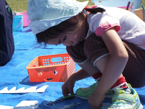 最新のアルバム