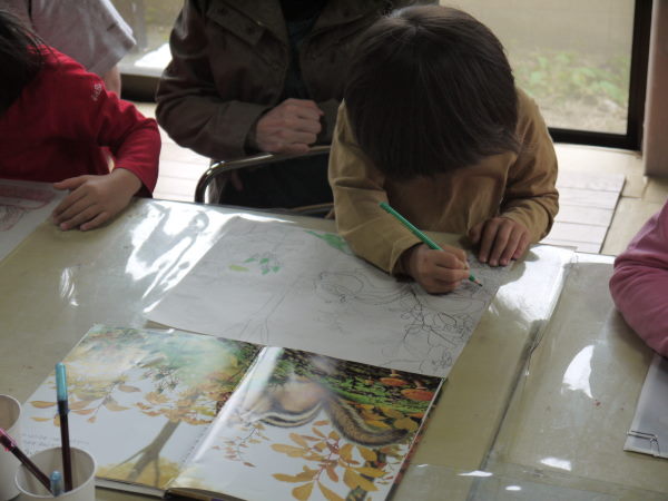 最新のアルバム