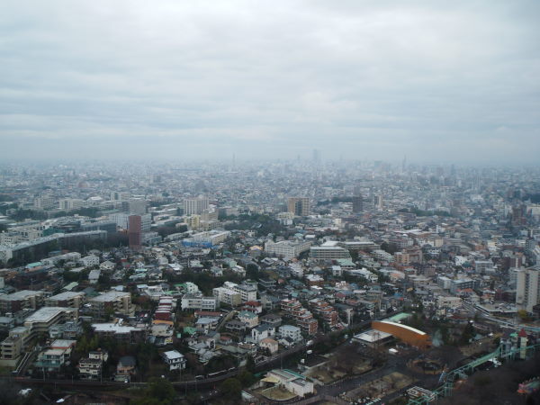 最新のアルバム