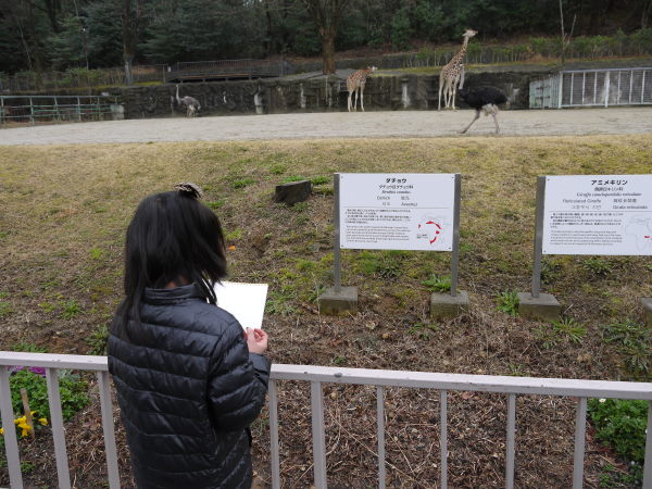 最新のアルバム