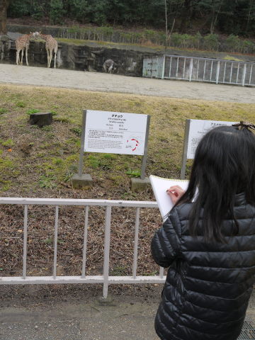 最新のアルバム