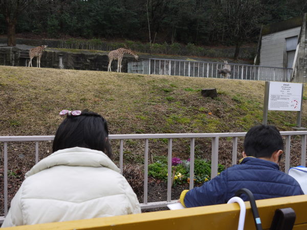 最新のアルバム