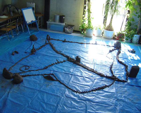 最新のアルバム