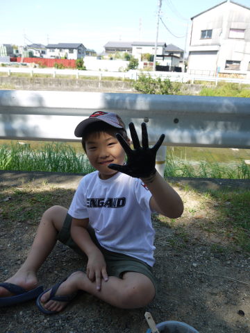 最新のアルバム