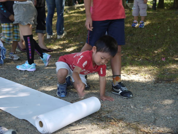 最新のアルバム
