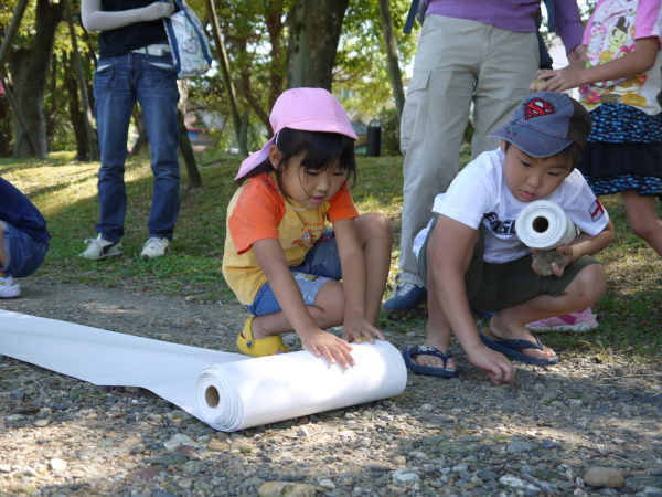 最新のアルバム