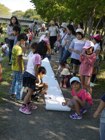 最新のアルバム