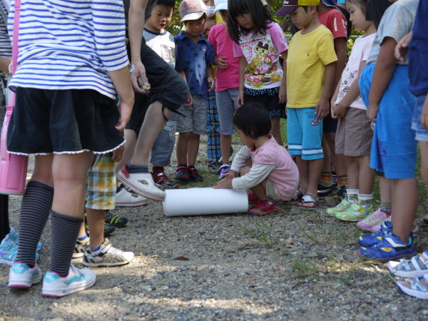 最新のアルバム