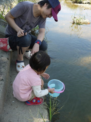 最新のアルバム