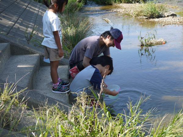 最新のアルバム