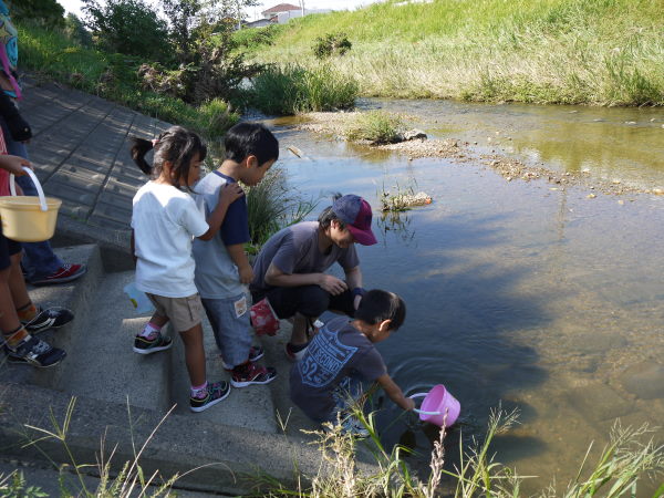 最新のアルバム
