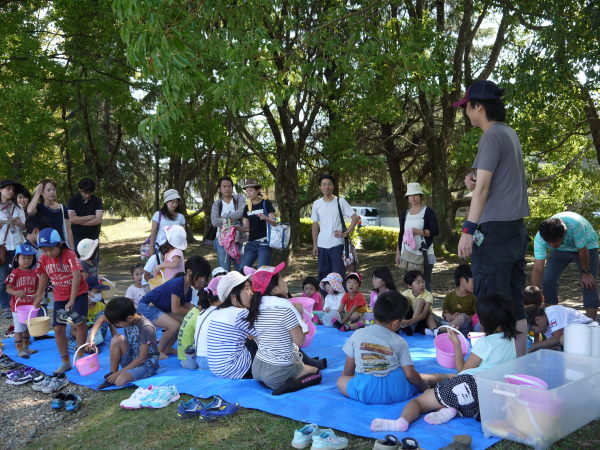 最新のアルバム