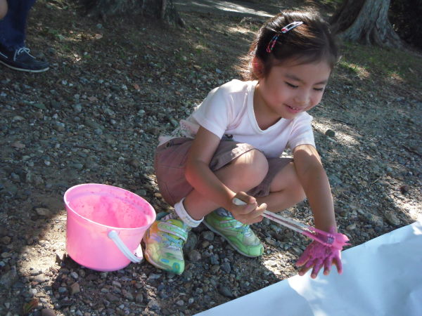 最新のアルバム