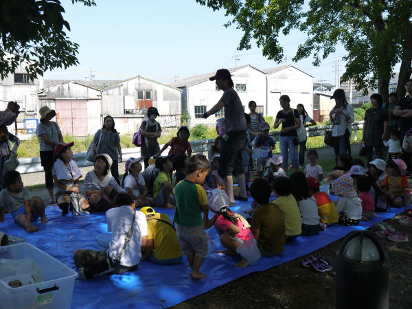 最新のアルバム