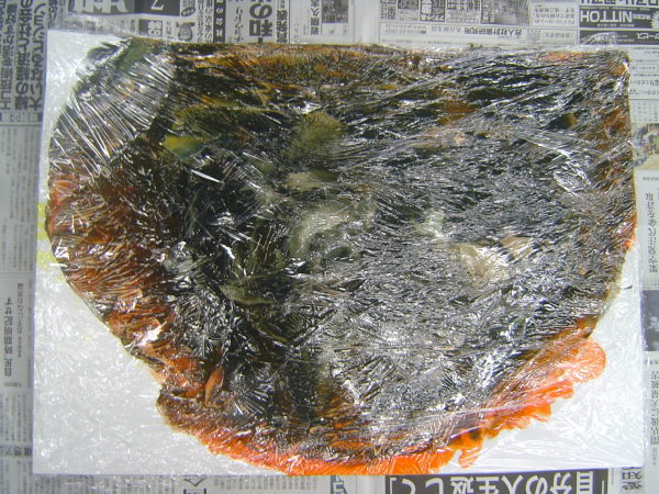 最新のアルバム