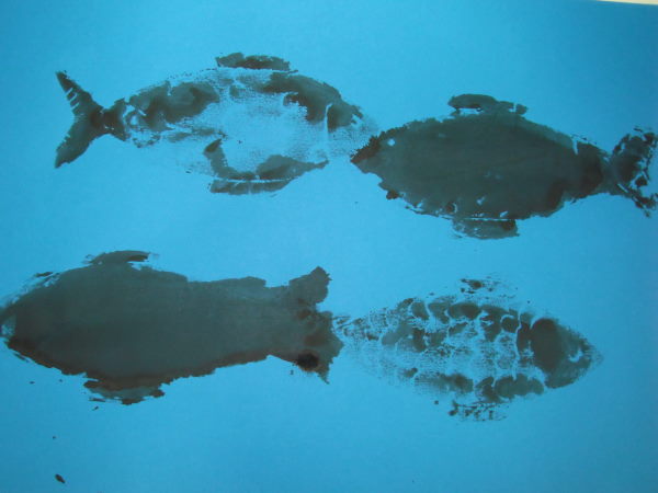 最新のアルバム