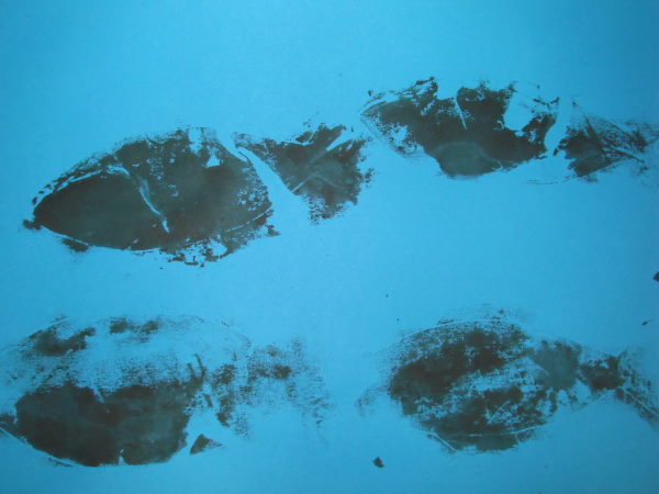 最新のアルバム