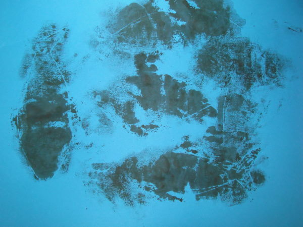 最新のアルバム