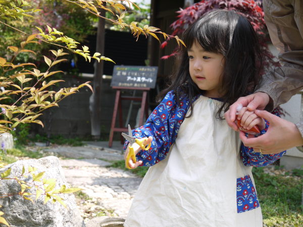 最新のアルバム