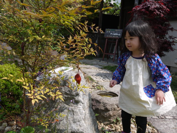 最新のアルバム