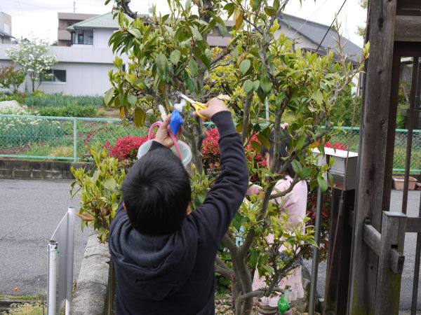 最新のアルバム