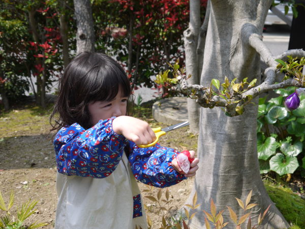 最新のアルバム