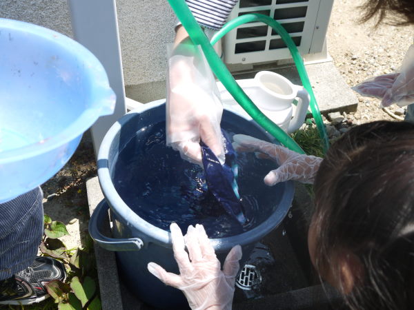 最新のアルバム