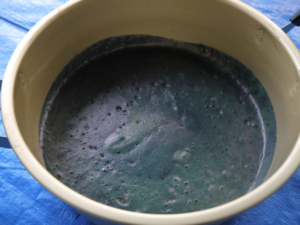 最新のアルバム