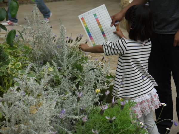 最新のアルバム