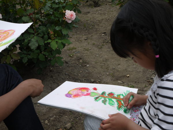 最新のアルバム