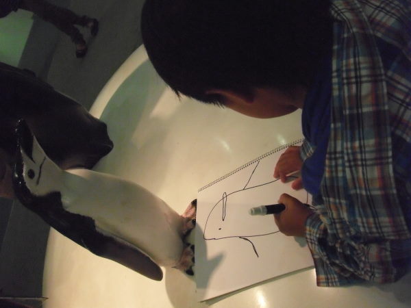 最新のアルバム