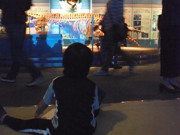 最新のアルバム