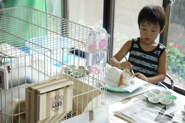 最新のアルバム