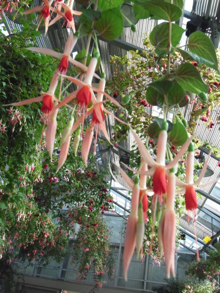 最新のアルバム