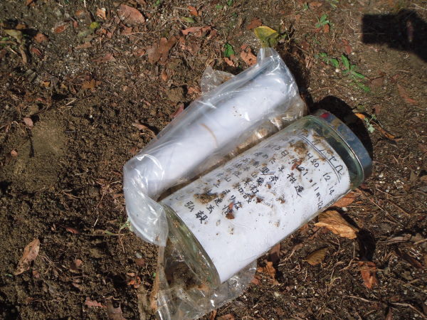 最新のアルバム