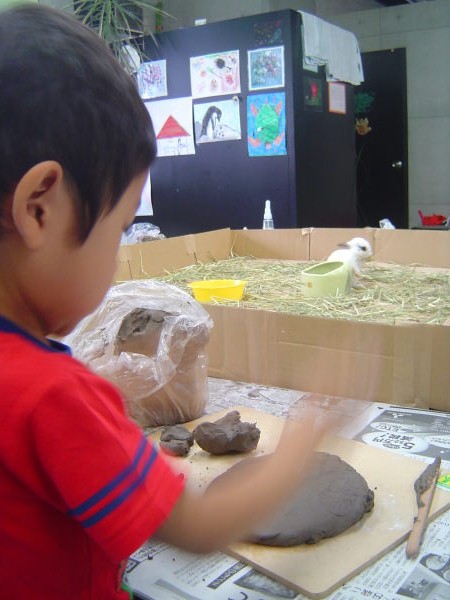 最新のアルバム