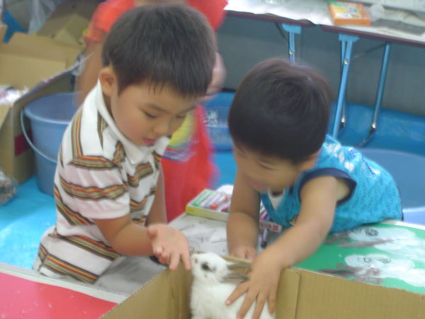 最新のアルバム