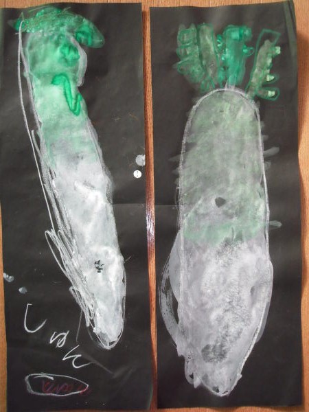 最新のアルバム