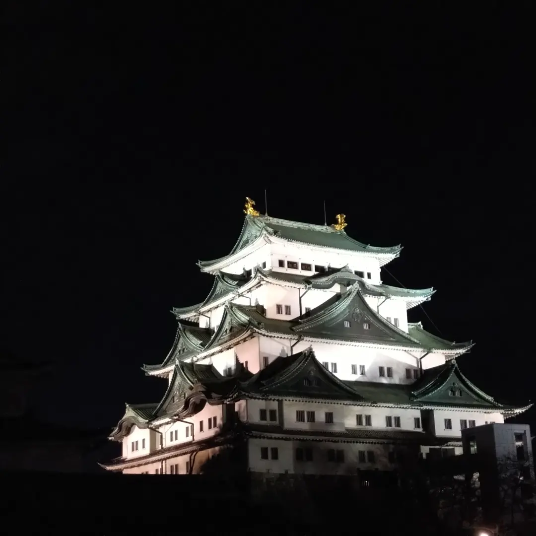 名古屋城 秋の夜間特別公開