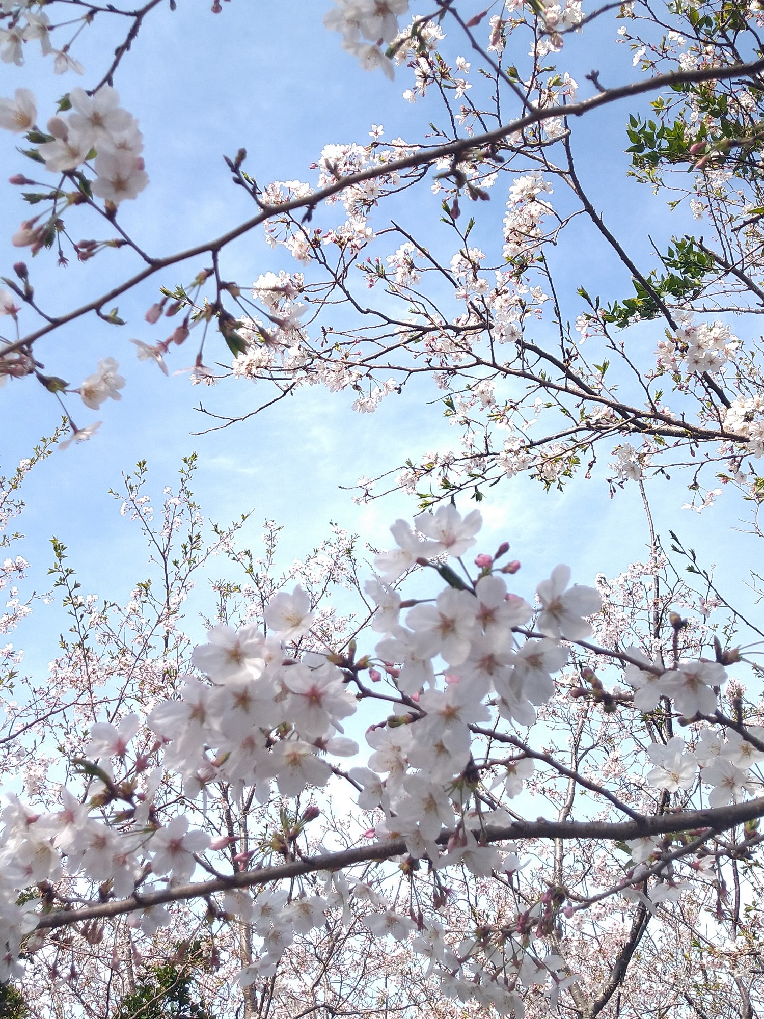 島旅⑯ 振り返りⅡ